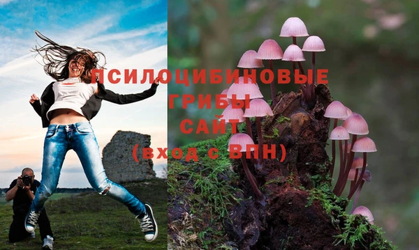 дурь Алзамай