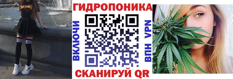 Бошки марихуана Amnesia  Болгар 